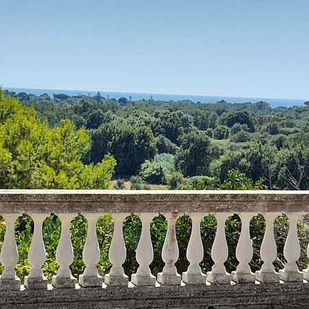 Villa Filomena Montecorice Exterior foto