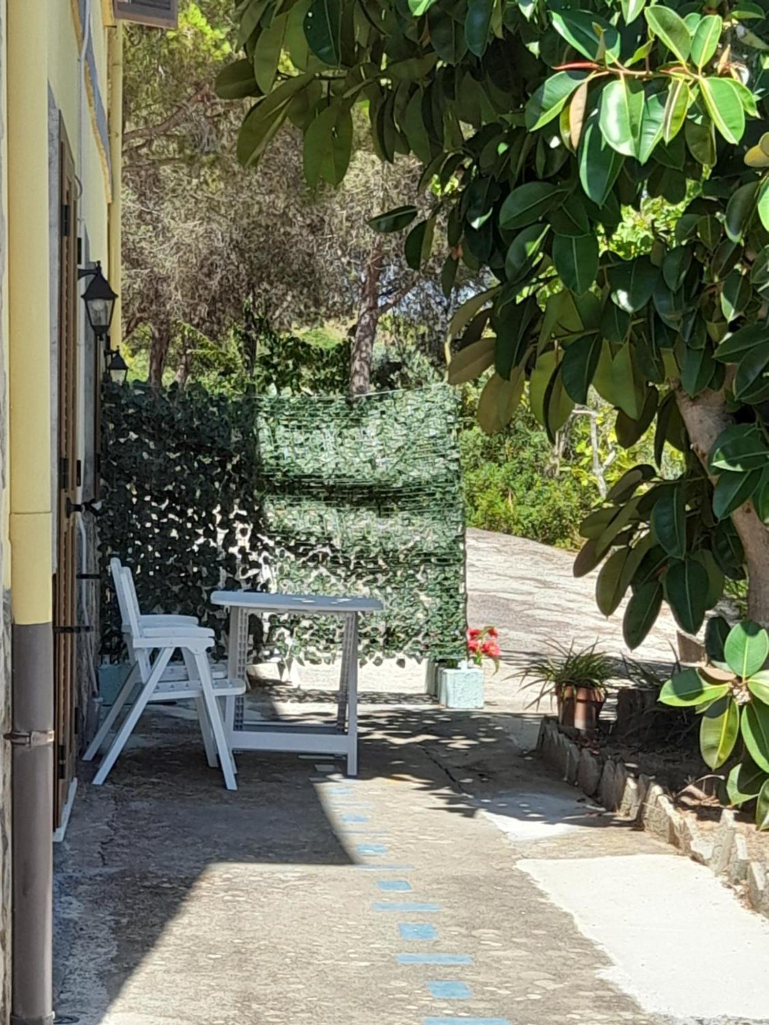 Villa Filomena Montecorice Exterior foto